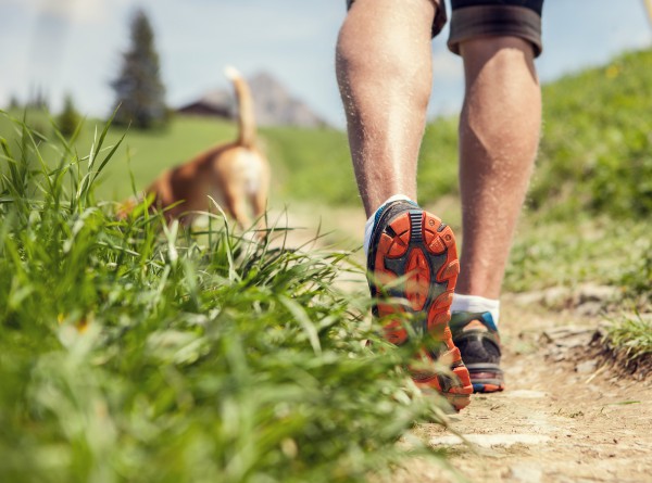 Building Up Your Walking Regime With Your Pet
