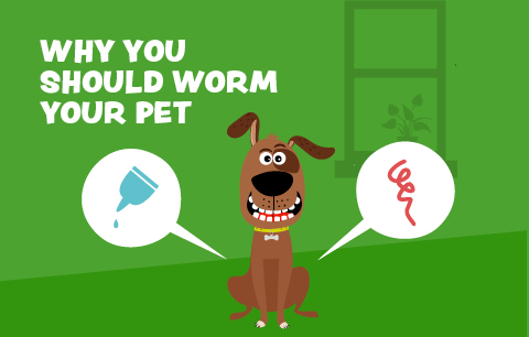 Why you should worm your pet