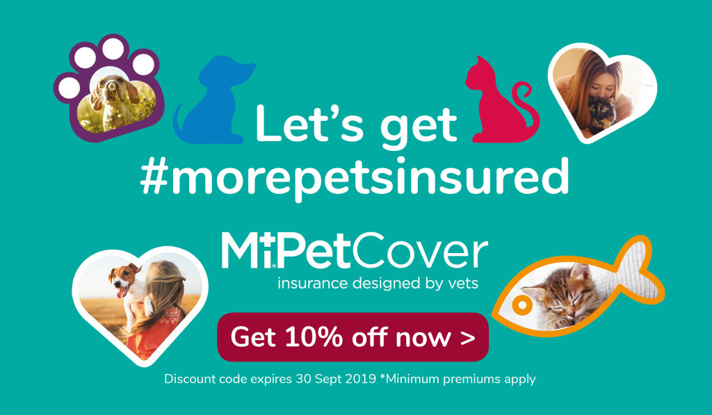 MiPet Pet Insurance   Offering You A Helping Paw With Vet Fees