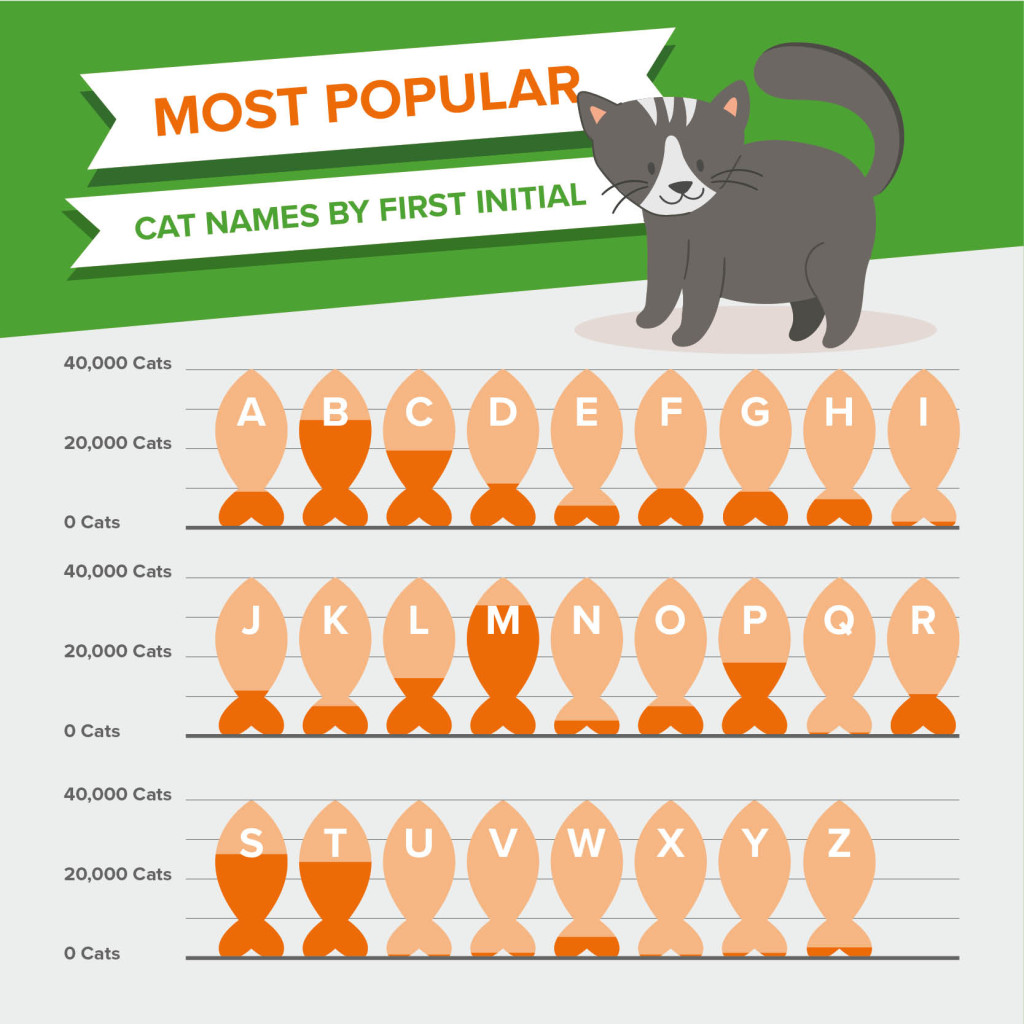 Most popular cat names by first initial