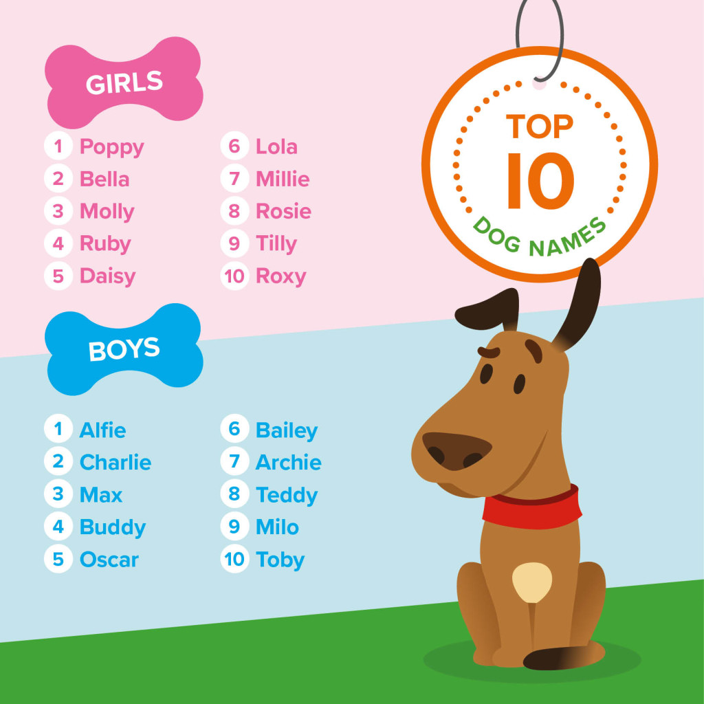 Top 10 Dog Names Girls Boys