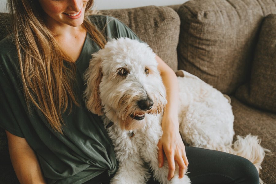 How you can support your dog's mental well-being