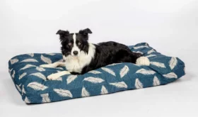 How to Wash a Dog Bed